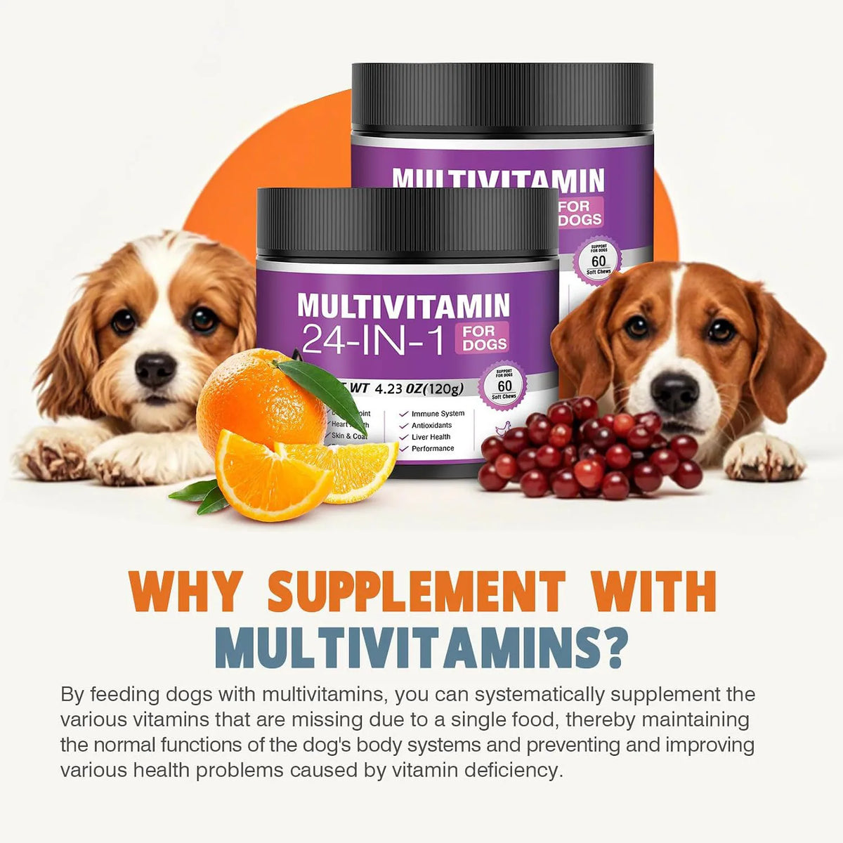 24-in-1 Dog Vitamins and Supplements Multivitamin Chewable for Dog Skin Coat Heart Joint Gut Liver Brain Eyes Immune Support