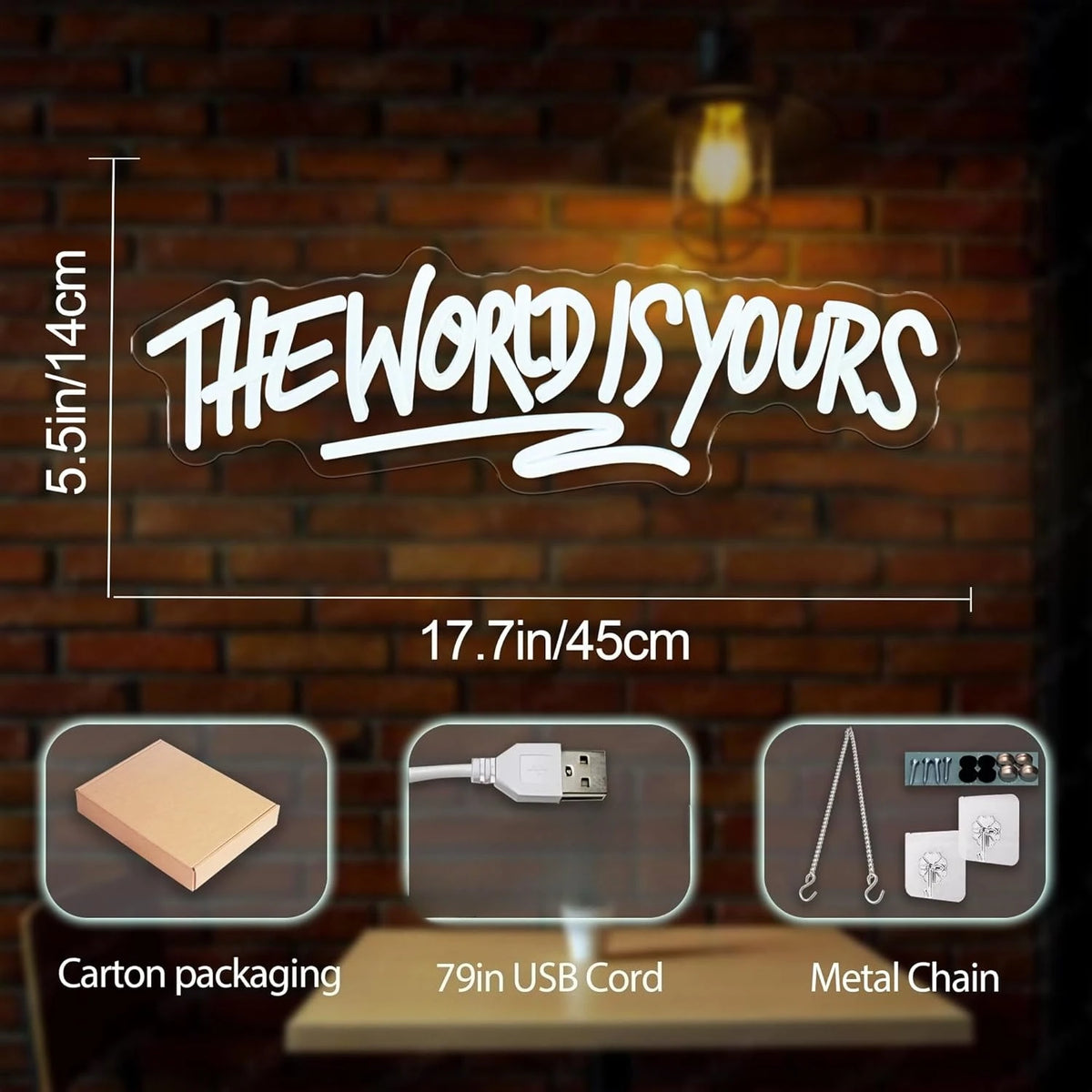 The World is Yours Neon Sign USB Powered LED Light for Beer Bar Wedding Birthday Party Game Room Bedroom Decoration Wall Light