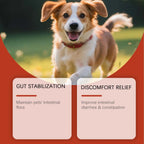 Dog Probiotic Soft Granules Turkey Tail Mushroom Vitamin Supplement Gentle Nourishment Support Gut Health Daily Pet Health Care