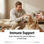 100g Dog Probiotics Immune Support Agent Elderly Dog Maintenance Joint Intestinal Skin Care Bacon Flavored Pet Health Supplement