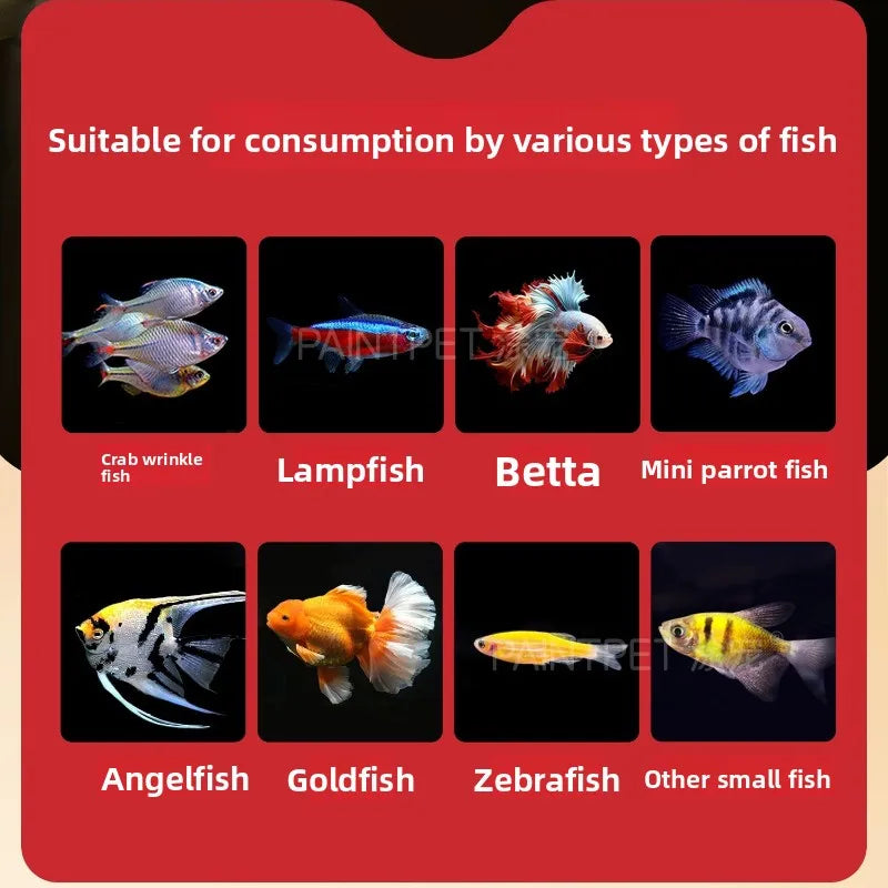 PAINTPET Bio-Mimetic Bloodworm Fish Food, Slow Sinking Protein Pellets for Tropical Fish, Universal Diet for Guppy, Tetra, Betta