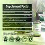 Liquid Chlorophyll Drops (4 Month Supply) Healthcare Supplement - Natural Deodorant and Detox - Gut Support Healthcare Liver