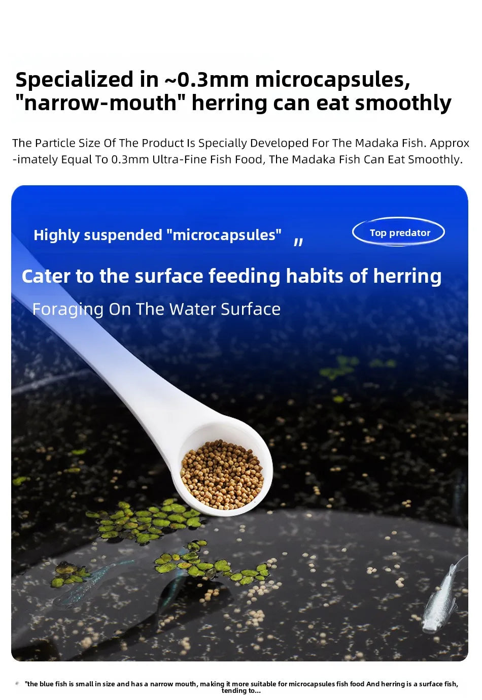 SANKii Floating Micro Pellets for Medaka, High Protein Food to Enhance Color for Viewing from Above - For Fry & Adult