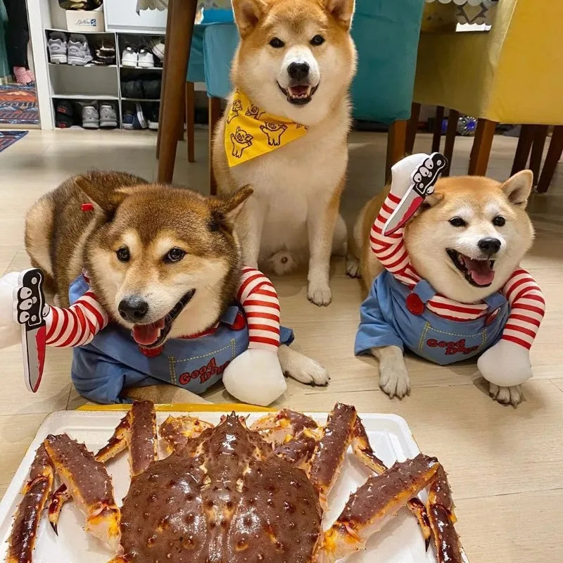 Halloween Pet Cosplay Costume Dog Dress for Small & Medium Dogs – Fun & Stylish Outfit Dogs Cats Pet Playing with Funny Clothes