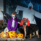 Halloween Dog Costumes Vampire Cape, Pet Cats Cosplay Costume Funny Clothes Cloak, Dog Mantle Apparel for Halloween Party