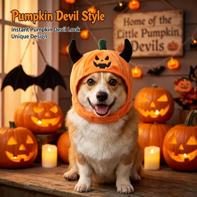 Halloween Pet Costume Hat – Fun Devil/Pumpkin Hat for Cats and Dogs; Warm, Festive, and Quirky – A Holiday Gift for Small Pets