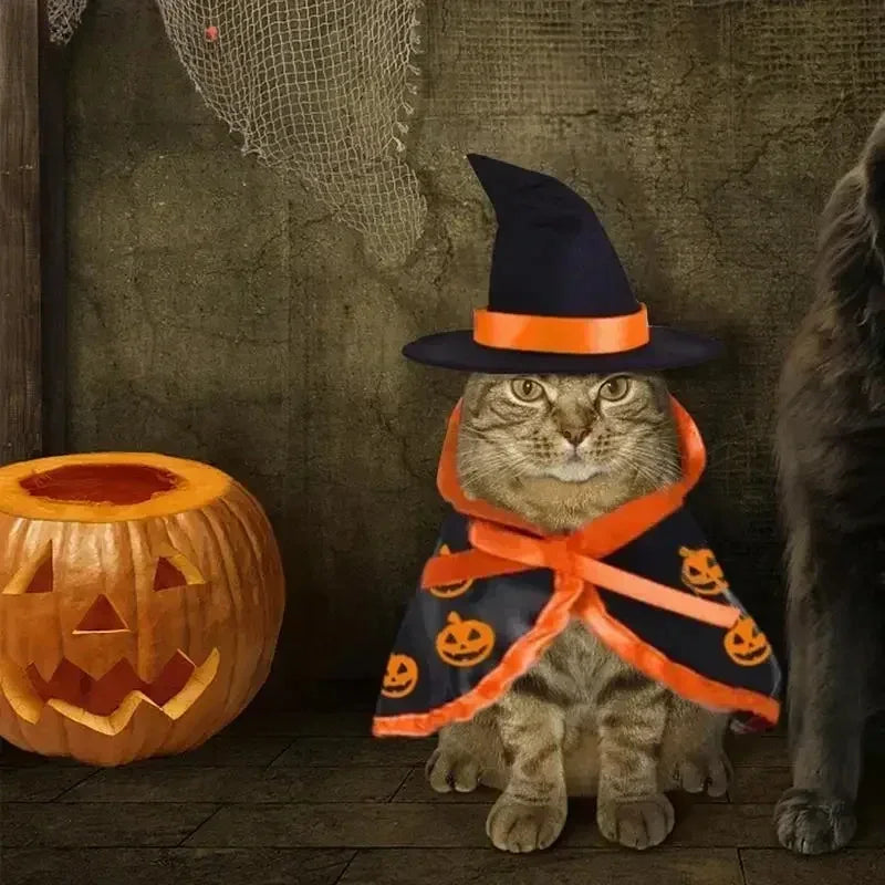 Halloween Pet Costume for Cats Breathable Soft Cute Pet Clothes Cloak Shape Pumpkin Pattern Harness Costume Cat Dog Cosplay Tool