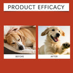 Dog Probiotic Soft Granules Turkey Tail Mushroom Vitamin Supplement Gentle Nourishment Support Gut Health Daily Pet Health Care