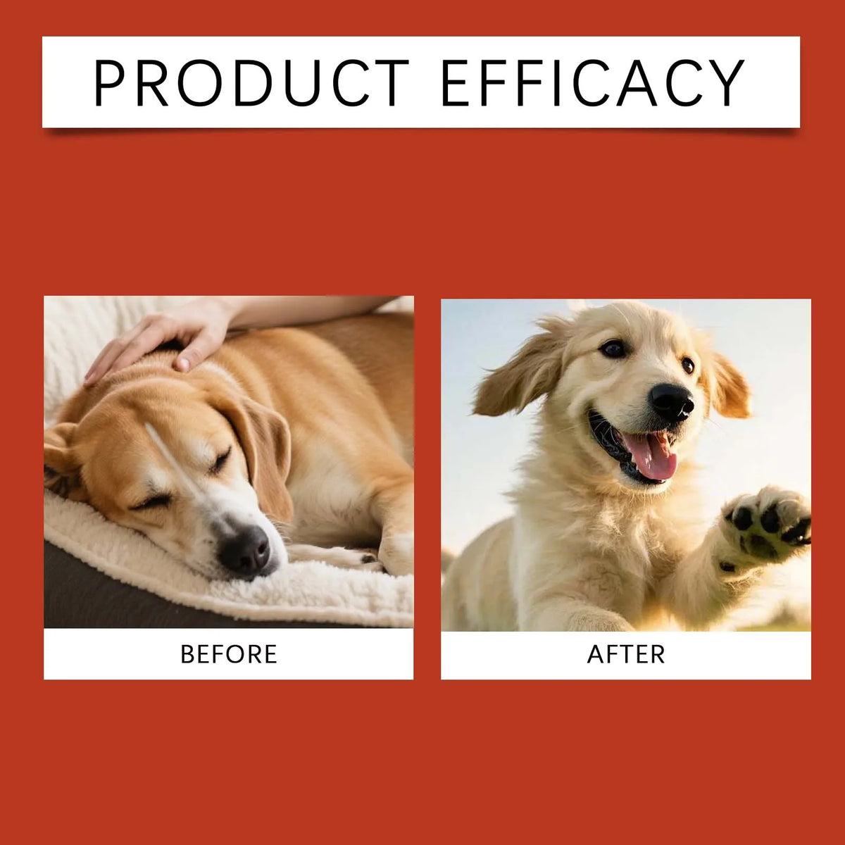 Dog Probiotic Soft Granules Turkey Tail Mushroom Vitamin Supplement Gentle Nourishment Support Gut Health Daily Pet Health Care