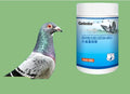 500g Racing Pigeon Protein Powder Energy Recovery Muscle Strength Endurance Nutrition Supplement Feather Care Bone Support
