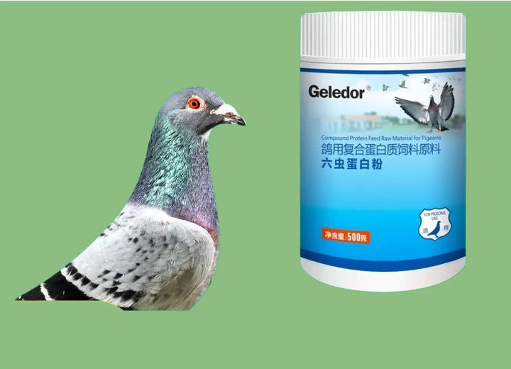 500g Racing Pigeon Protein Powder Energy Recovery Muscle Strength Endurance Nutrition Supplement Feather Care Bone Support