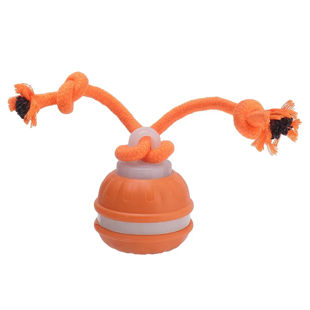 Smart Auto-Rolling Pet Ball Toy – Cat & Dog