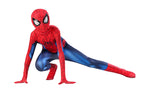 Full Set Halloween Cosplay Costume For Spider Fans Collector Miles Morales Zentai Suit Halloween Christmas Party Halloween Gift