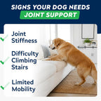 Advanced Glucosamine for Dogs, Hip Joint Supplement Chews Helps Joint Pain Relief - Chewable Treats for Small, Medium, Large Dog