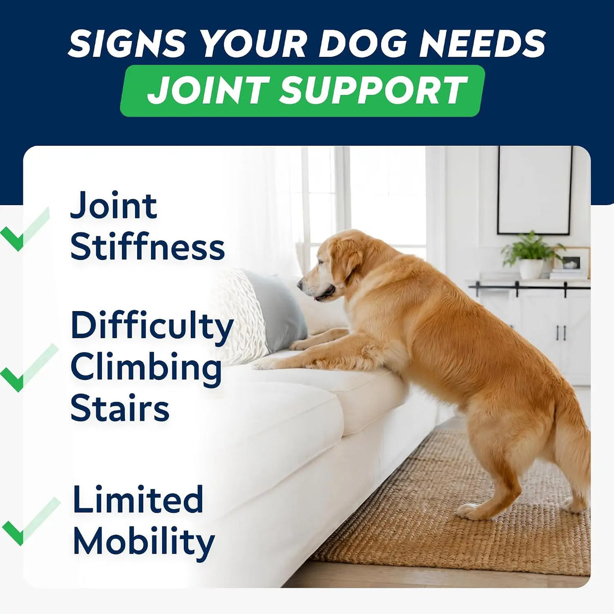 Advanced Glucosamine for Dogs, Hip Joint Supplement Chews Helps Joint Pain Relief - Chewable Treats for Small, Medium, Large Dog
