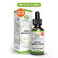 Liquid Chlorophyll Drops (4 Month Supply) Healthcare Supplement - Natural Deodorant and Detox - Gut Support Healthcare Liver