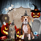 Funny Pumpkin Pet Halloween Costumes Cape Adjustable Soft Cats Cosplay Clothes Bat Black Halloween Pet Apparel Party