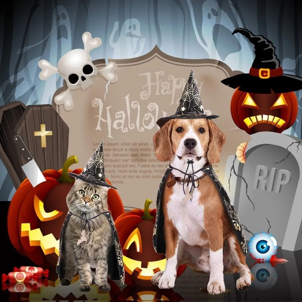 Funny Pumpkin Pet Halloween Costumes Cape Adjustable Soft Cats Cosplay Clothes Bat Black Halloween Pet Apparel Party