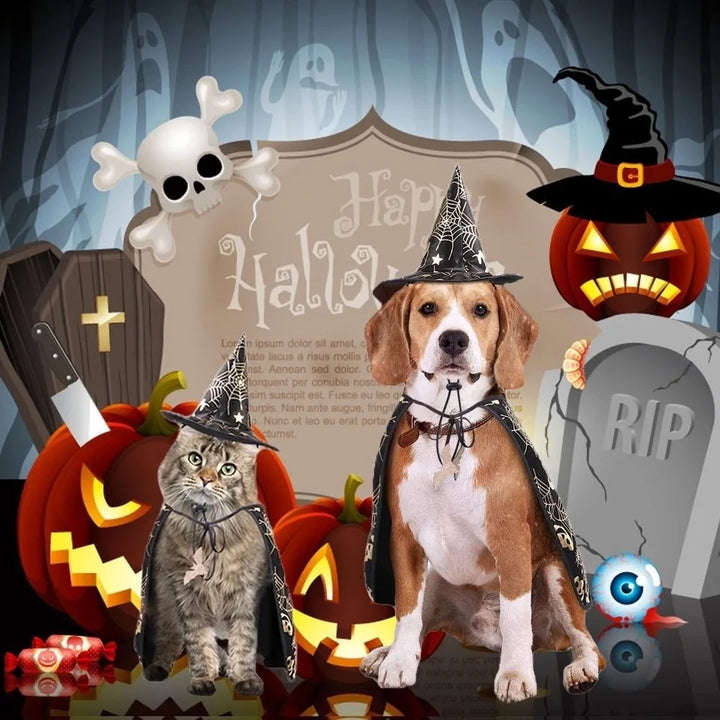 Funny Pumpkin Pet Halloween Costumes Cape Adjustable Soft Cats Cosplay Clothes Bat Black Halloween Pet Apparel Party