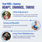90 Capsules NAD+ Supplement, 1500mg - Liposomal NAD+ Supplement