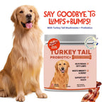 Turkey Tail Mushroom for Dogs - Lipoma Treatment for Dogs - Mushroom Supplement with Immune Support for Lipoma, Lumps & Bumps