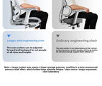 Stable Durable Ergonomic chair, computer chair, office chair, reclining dual-purpose office rotating chair, e-sports chair
