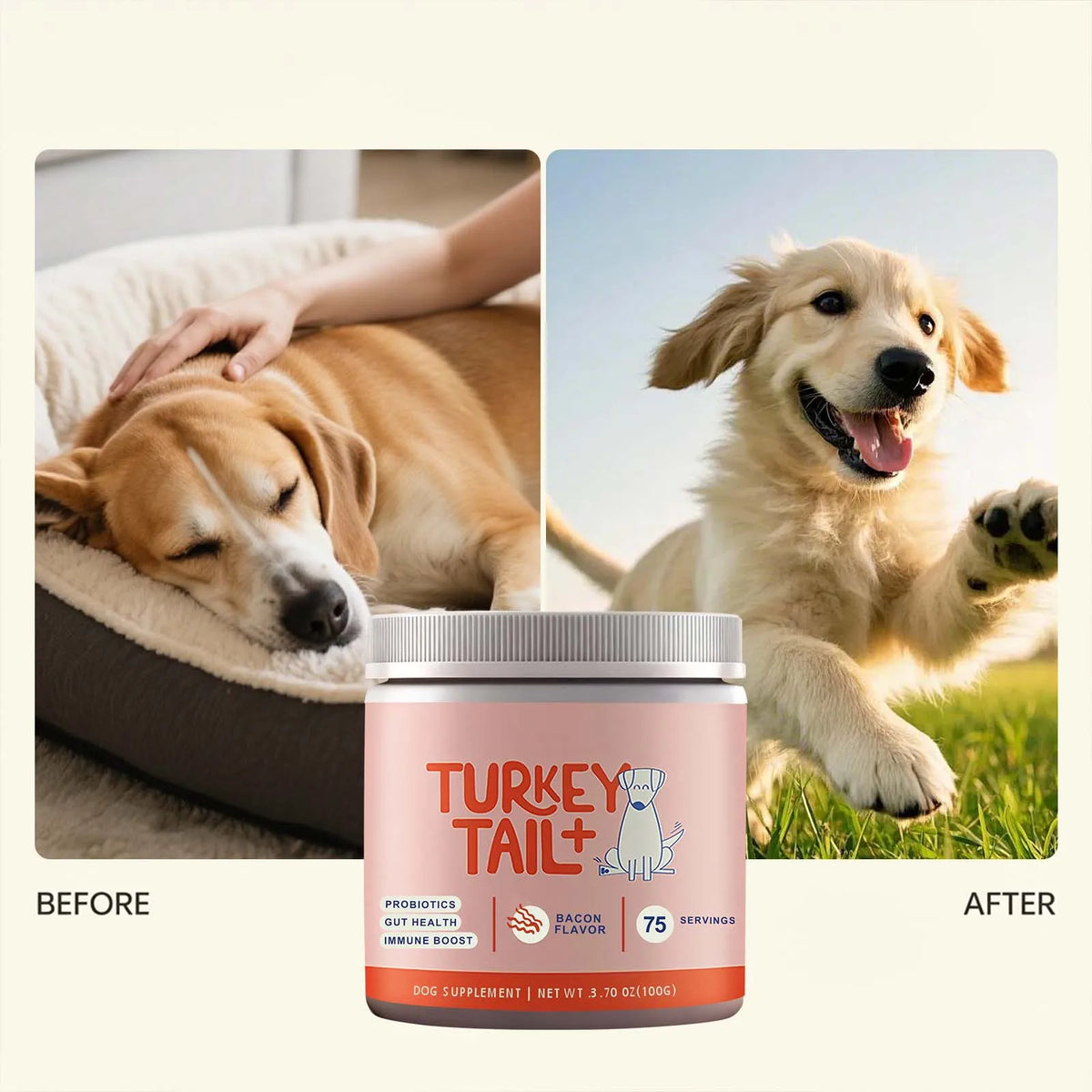 Dog Probiotic Soft Granules with Turkey Tail Mushroom&Vitamin Bacon Flavor Digestive Supplement Gut Health Daily Pet Nutrition