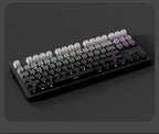 2026 Original Daylight Keycaps PTB Translucent, Side-engraved Oem 135 Keys, Customized To Fit 60/84/98/108 Mechanical Keyboards.