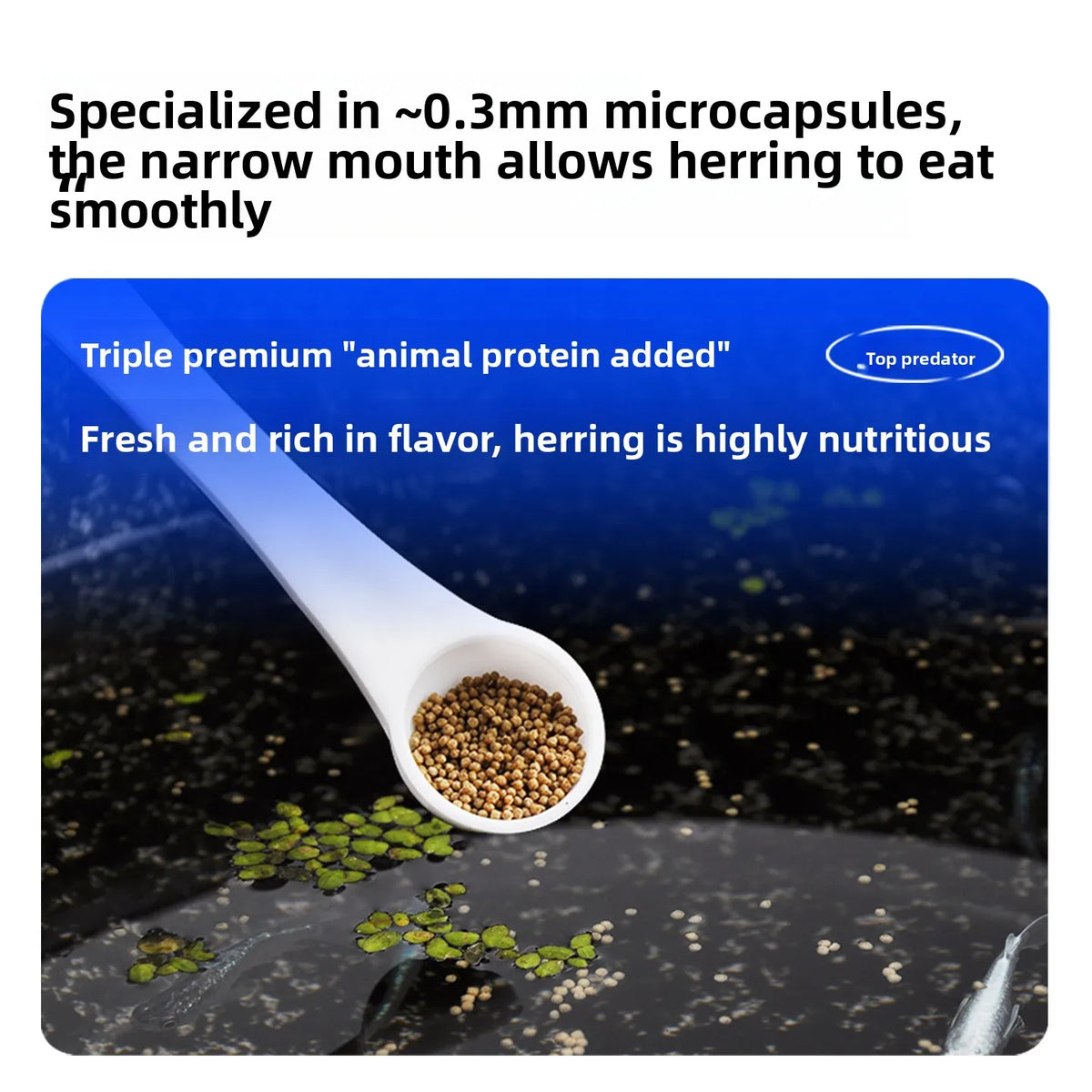 SANKii Floating Micro Pellets for Medaka, High Protein Food to Enhance Color for Viewing from Above - For Fry & Adult