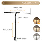 3 Head LED Desk Lamp with Clamp, Flexible 360° Adjustable Stand & Foldable Light, Stepless Dimming Reading Lamp for Home Office