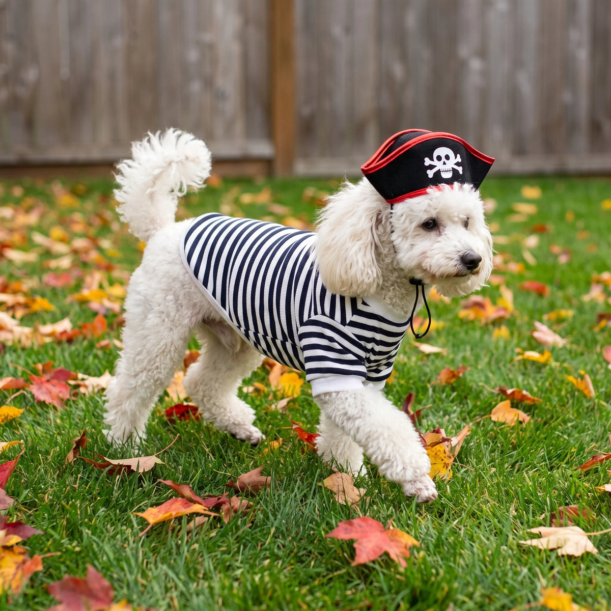 Halloween Pirate Pet Costume Set with Skull Hat Black White Striped Dog Cat Shirt Sweatshirt Spooky Cosplay Party Apparel Outfit