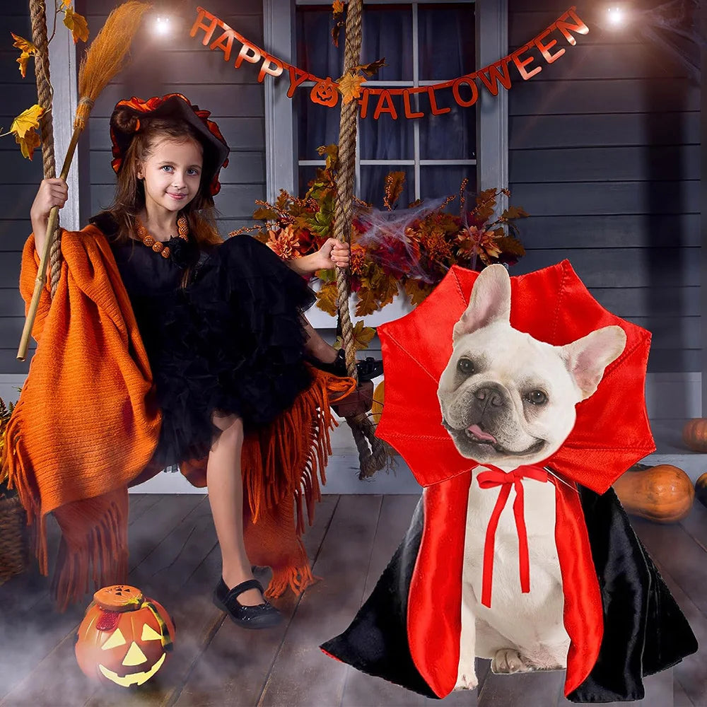 Halloween Pet Costumes Cute Cosplay Vampire Cloak for Small Dog Cat Kitten Puppy Dress Kawaii Pet Clothes Cat Accessoties