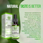 Liquid Chlorophyll Drops (4 Month Supply) Healthcare Supplement - Natural Deodorant and Detox - Gut Support Healthcare Liver