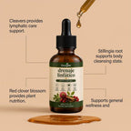 60ml Lymphatic Herbal Drops 60ml Natural Plant‑Based Dietary Supplement Body Wellness Support for Daily Body Balance Care