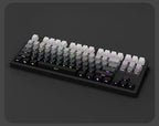 2026 Original Daylight Keycaps PTB Translucent, Side-engraved Oem 135 Keys, Customized To Fit 60/84/98/108 Mechanical Keyboards.