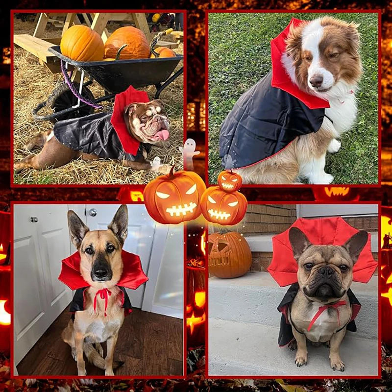 Halloween Cat Dog Vampire Cloak Costume Adjustable Pet Cape Costume Clothes, Halloween Pet Accessories Costumes