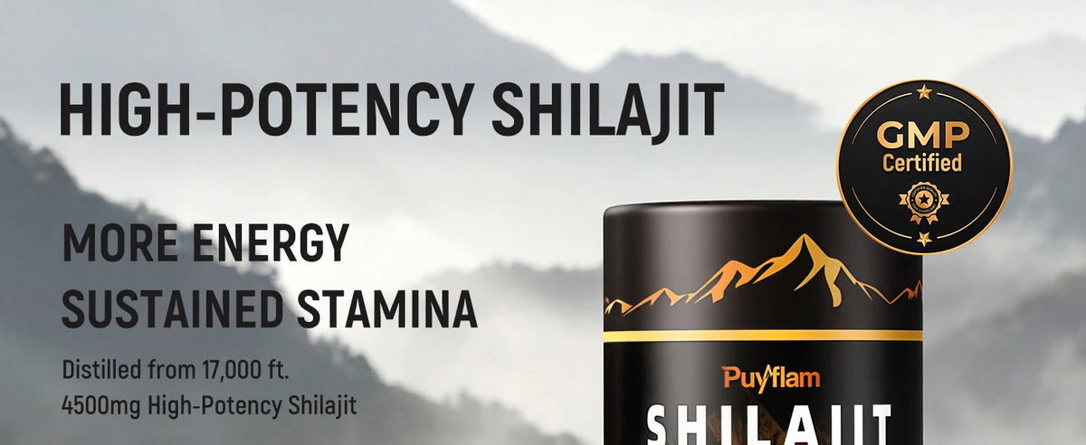 SHILAJIT GUMMIES Supplements Immune Health 4500MG