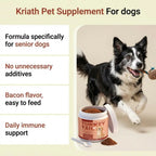 100g Dog Probiotics Immune Support Agent Elderly Dog Maintenance Joint Intestinal Skin Care Bacon Flavored Pet Health Supplement