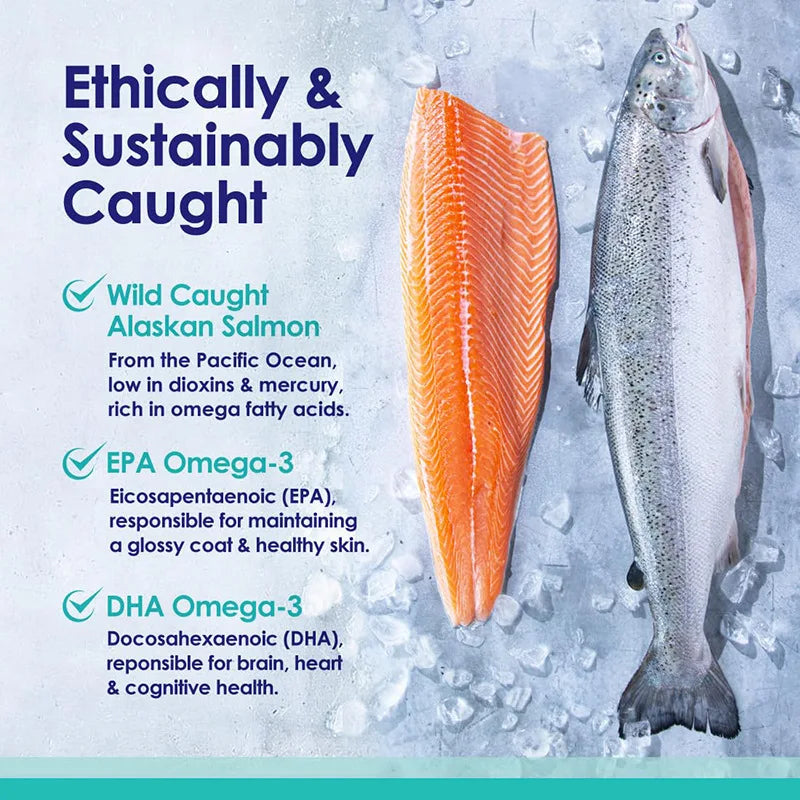 Fish Oil for Dogs, Wild Caught from Iceland,  and Coat Supplement for Shedding, Dry Itchy and Allergies