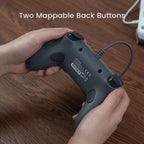 GameSir Tegenaria Lite Wired Gamepad, Dual Rumble Motors, Hall Effect Sticks, 1000Hz Polling, for Nintendo Switch 2, PC