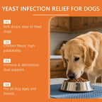 Kriath Dog Supplement Drops Promote Nutrient Absorption Improve Immune Defense Ability Gentle Formula Dog Oral Liquid Supplement