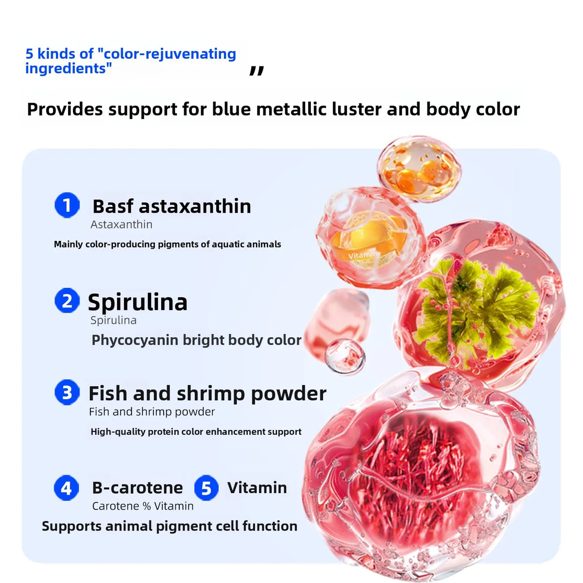 SANKii Floating Micro Pellets for Medaka, High Protein Food to Enhance Color for Viewing from Above - For Fry & Adult
