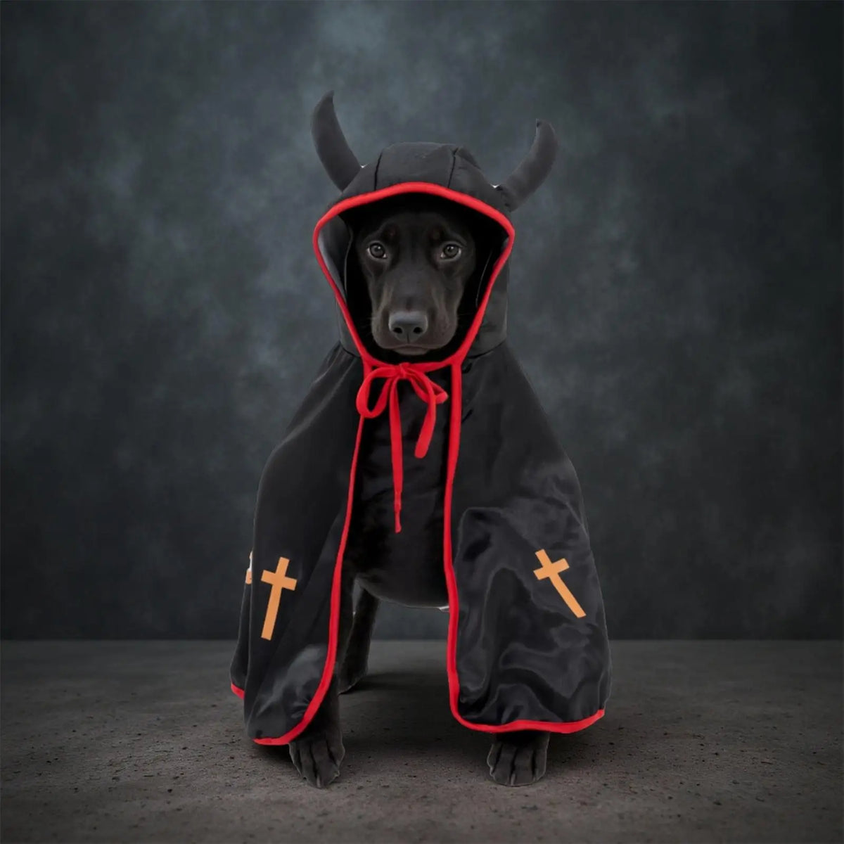 Halloween Cat Dog Costumes Funny Puppy Cloak Dog Pet Costumes For Halloween Party Puppy Photo Props Large Breed Photo Props