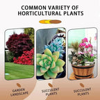 1Pcs Fast Rooting Stimulator Plant Rapid Rooting Agent Root Stimulator for Plants Root Supplement for Houseplant Garden Supplies