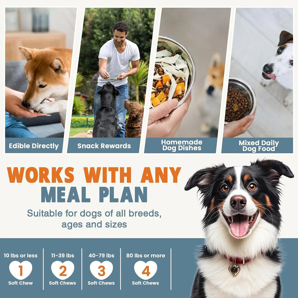 24-in-1 Dog Vitamins and Supplements Multivitamin Chewable for Dog Skin Coat Heart Joint Gut Liver Brain Eyes Immune Support