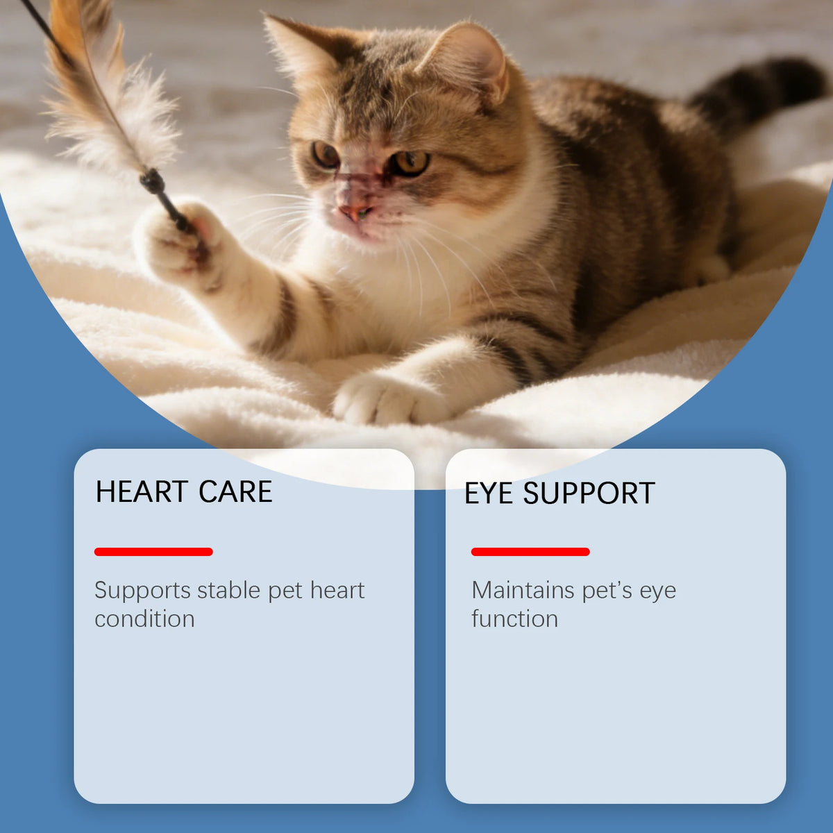 Cat Taurine Powder Supplement Support Cat Heart Wellness Healthy Eyesight Pet Body Daily Care Nutrition Powder