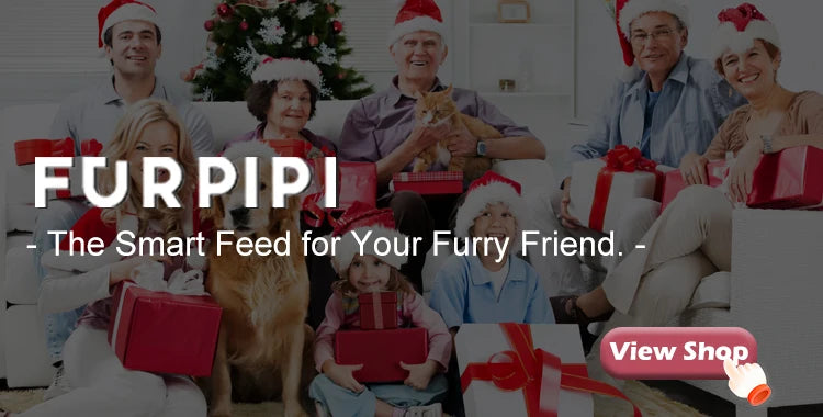 8L Automatic Cat Feeder With 1080p Camera Video 5G WiFi Cat Food Dispenser Pet Smart Voice Recorder Tuya APP Pet Auto Feeder