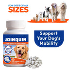 Joinquin Joint Supplement, Glucosamine & Chondroitin for Dogs, Supports Healthy Joints, Chewable Tablets for All Breeds & Sizes