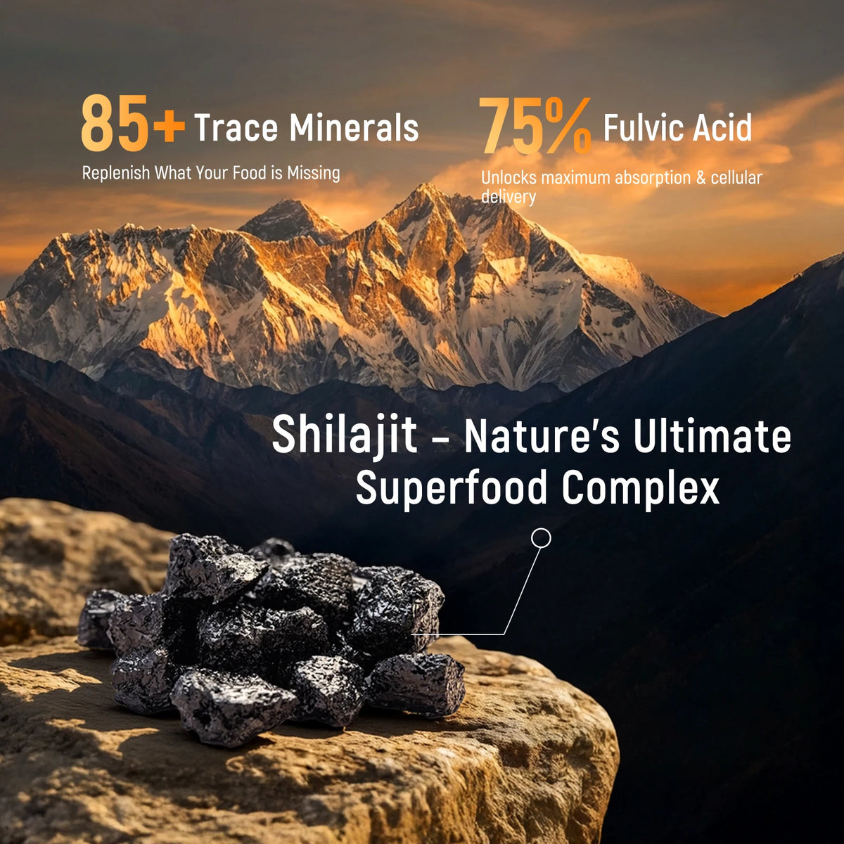 SHILAJIT GUMMIES Supplements Immune Health 4500MG