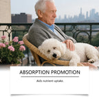 Kriath Dog Supplement Drops Promote Nutrient Absorption Improve Immune Defense Ability Gentle Formula Dog Oral Liquid Supplement